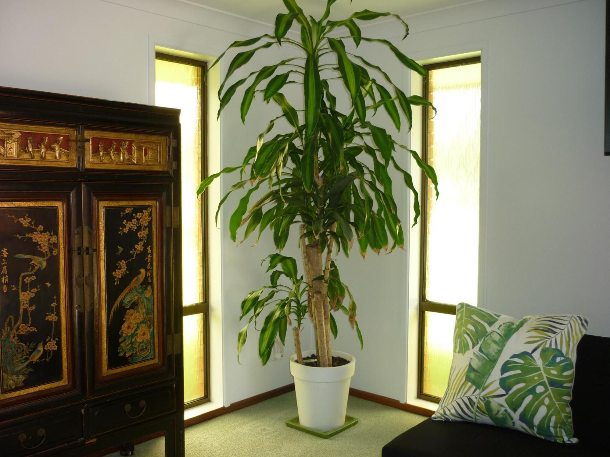 Bill'S Appartement Coffs Harbour Buitenkant foto